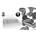 SCIO/INDIGO Video-Course: Manual to a successful practice – Bring your client into Self-Healing
